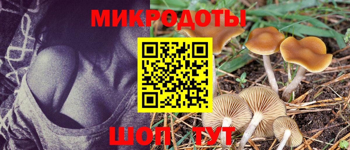 Галлюциногенные грибы прущие грибы Златоуст