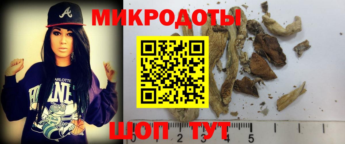 Псилоцибиновые грибы MAGIC MUSHROOMS  Вход с VPN  Златоуст 